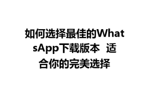 WhatsApp中文版,WhatsApp下载