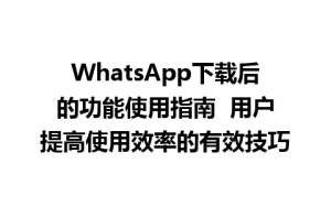 WhatsApp中文版下载 | WhatsApp下载后的功能使用指南  用户提高使用效率的有效技巧