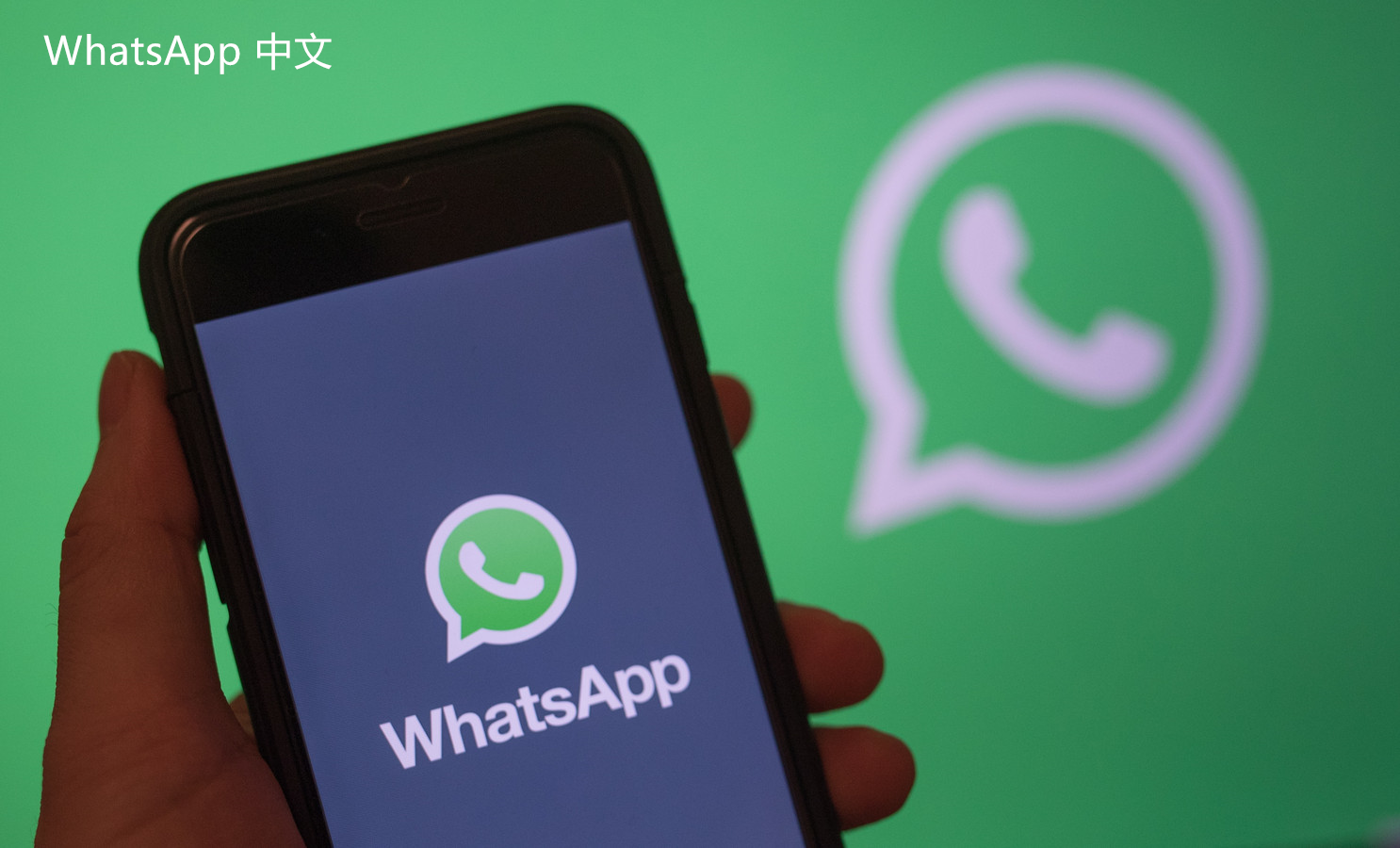 WhatsApp中文版下载 | WhatsApp Messenger下载指南：快速安装