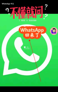 WhatsApp中文版下载 | whatsapp官网手机端下载 快速获取官方应用链接